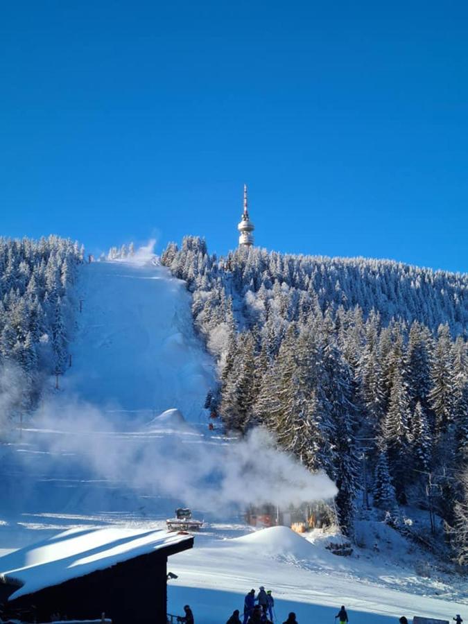 Студиа Студенец Smolyan Extérieur photo
